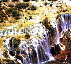 ��˳������Ƶ��������ͥ�϶�ǰ�޿��ߣ��Ҿ���������Բ���ľ����㣡...